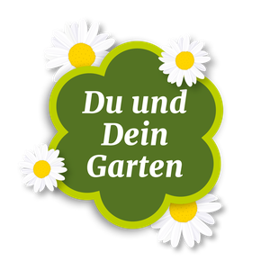 RAM Regio Ausstellungs GmbH Mainz